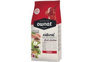Ownat Classic Energy dog 20 кг сухой корм для взрослых собак с высоким уровнем физической активности 16082 фото