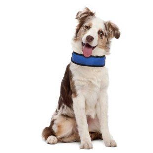 Охолоджуючий нашийник Harness Frech, синій, 50х6см (використовується гель, вимагає охолодження) C5020254 фото