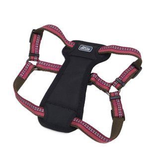 Coastal K9 Explorer Harness эксплорер светоотражающая шлея с нагрудником для собак 11.3-22.6кг 36945_GLR30 фото