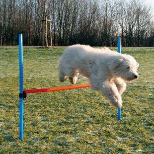 Набор для аджилити Trixie Jump 1,29м х 1,15м TX-3207 фото