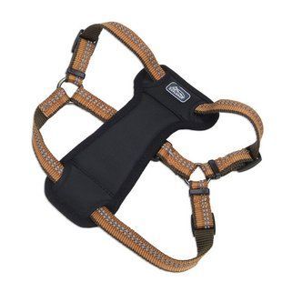 Coastal K9 Explorer Harness эксплорер светоотражающая шлея с нагрудником для собак 11.3-22.6кг 36945_COG30 фото