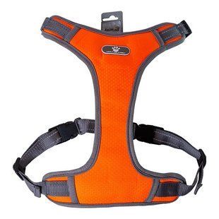 AnimAll (7274) шлейка HL-8005-1 orange S 167224 фото