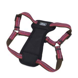 Coastal K9 Explorer Harness експлорер світловідбивна шлея з нагрудником для собак золотарник, 20.4-45.3 кг, 2.5 х 66-96.5 см 36946_GLR38 фото