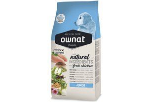 Ownat Classic Junior dog 12 кг сухой корм для щенков с курицей 14675 фото