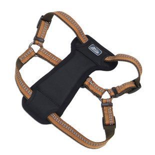 Coastal K9 Explorer Harness експлорер світловідбивна шлея з нагрудником для собак, полум'я, 20.4-45.3 кг, 2.5 х 66-96.5 см 36946_COG38 фото