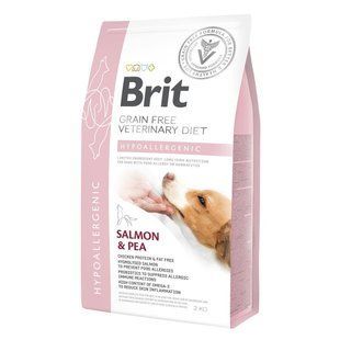 Сухой корм Brit GF VetDiets dog Hypoallergenic 2 кг для собак при аллергии с лососем, горохом и гречкой 170939/8042 фото