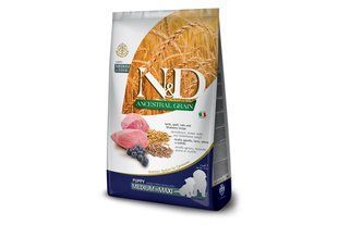Низкозерновой сухой корм Farmina n&d 12 кг для щенков средних и больших пород, ягненок с черникой 156393 фото