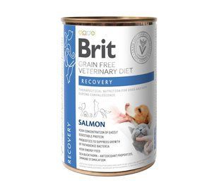Влажный корм Brit GF VetDiet Recovery для собак и кошек, в период выздоровления, с лососем, 400 г 100291 фото