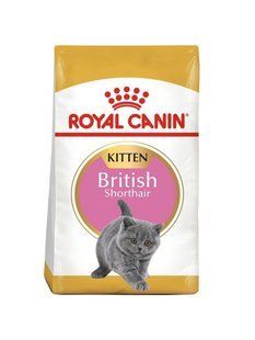 Корм для кошенят Royal Canin Kitten British Shorthair 0.4 кг 2566004 фото