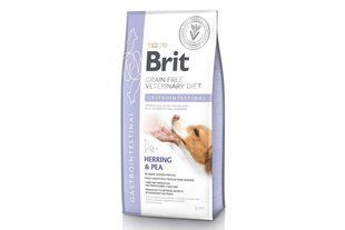 Корм Brit GF VetDiets dog Gastrointestinal 12кг для собак при нарушениях пищеварения селедка, лосось, горох 170944/528127 фото