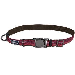 Coastal K9 Explorer Collar світловідбивний нашийник для собак, 2.5х46-66 см 36923_ROB26 фото