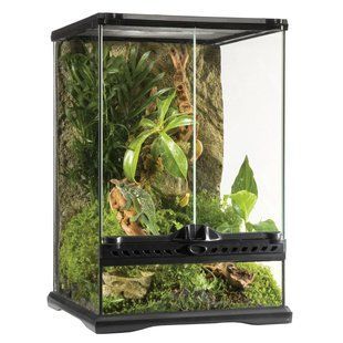 Тераріум Exo Terra скляний Natural Terrarium 30 x 30 x 45 см PT2602 фото
