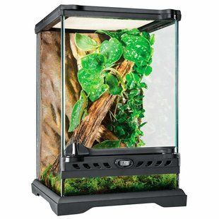 Тераріум Exo Terra скляний Natural Terrarium 20 x 20 x 30 см PT2601 фото
