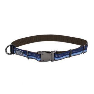 Coastal K9 Explorer Collar світловідбивний нашийник для собак, 2.5х30-46 см 36922_SAP18 фото