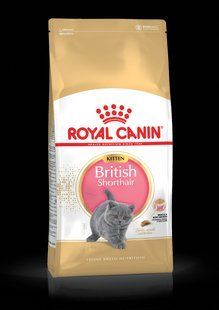 Royal Canin Kitten British Shorthair 2 кг корм для Британців короткошерстих кошенят від 4 міс. до 1 року 2566020 фото