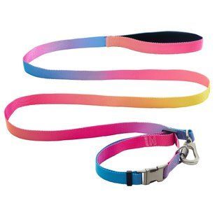 AnimAll нашийник+повідець, panton 1, 25/420-520/1800 мм 176005 фото