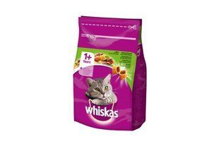 Сухой корм Whiskas с ягненком 14 кг для взрослых кошек 8502074 фото
