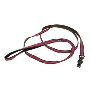 Coastal K9 Explorer Leash світловідбивний повідець для собак, 1.6 смХ1.8м 36406_GLR06 фото