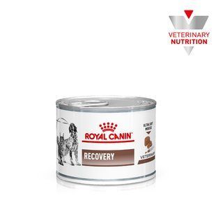 Royal Canin REcovery Canine Feline 195 г х 12 - корм для кішок і собак в період відновлення після хвороби 40550021/П фото
