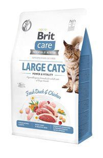 Сухой корм Brit Care Cat GF Large Power & Vitality для кошек больших пород, утка и курица, 400 г 171311/0921 фото