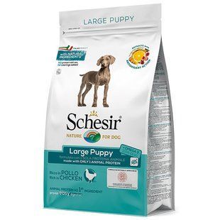 Schesir dog Large Puppy 12 кг сухой монопротеиновый корм для щенков крупных пород с курицей ШСЩКК12 фото