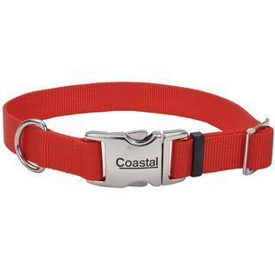 Coastal Titan Buckle ошейник для собак, 2х36-51см 61601_RED20 фото