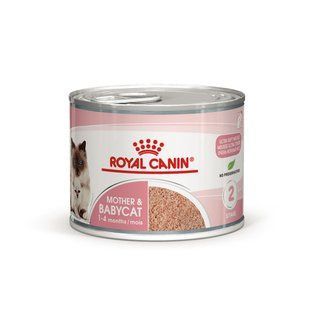 Вологий корм Royal Canin Mother and Babycat Ultra Soft Mousse 195 г х 12 шт для кішки в період вагітності 4098002/П фото