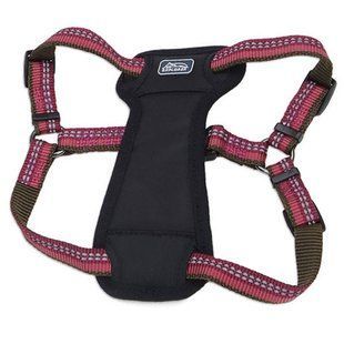 Coastal K9 Explorer Harness світловідбивна шлея з нагрудником для собак 2.3-4.5кг 36445_GLR18 фото