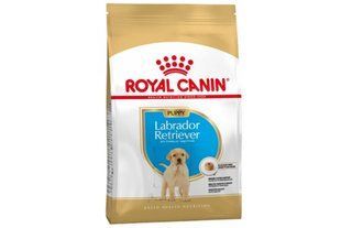Сухой корм Royal Canin Labrador Puppy 12 кг для щенков Лабрадора до 15 месяцев 249112019 фото