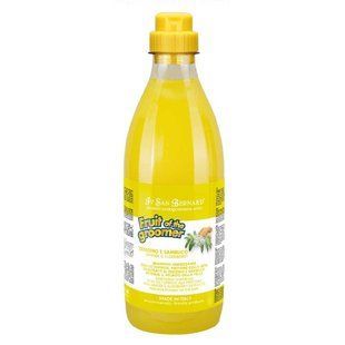 Шампунь Iv San Bernard Ginger and Elderberry дезінфікуюча, з бузиною та імбирем, 1л 1579NSHAZE1000 фото
