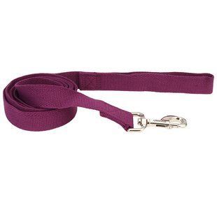 Coastal New Earth Soy dog Leash соевый экоповодок для собак 14406_EGP06 фото