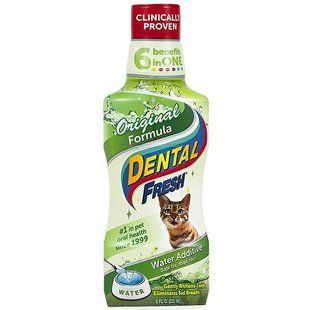 SynergyLabs Dental Frech Cat рідина від зубного нальоту і запаху з пащі кішок 0,237 10 фото