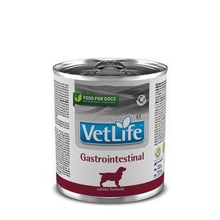 Влажный корм Farmina Vet Life Gastrointestinal для собак, при заболевании ЖКТ, 300 г 160553 фото