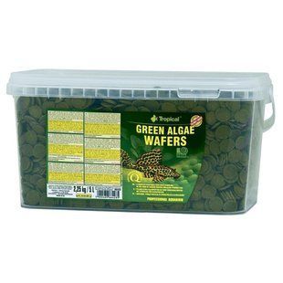 Сухий корм для акваріумних риб Tropical в пластинках &laquo;Green Algae Wafers&raquo; 5 л (для травоїдних донних риб) 66428 таблетки фото