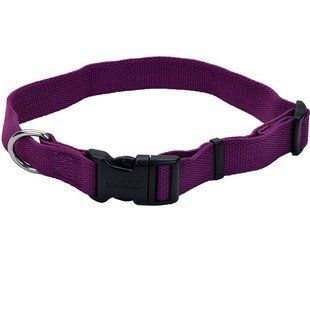Coastal New Earth Soy dog Collar соевый экоошейник для собак, фиолетовый 2.5 46-66 см 14901_EGP26 фото