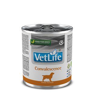 Влажный Farmina Vet Life Convalescence для собак, диета для восстановления питания и выздоровления, 300 г 166136 фото