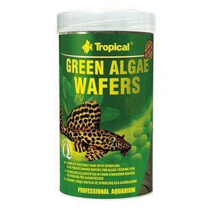 Сухий корм для акваріумних риб Tropical в пластинках &laquo;Green Algae Wafers&raquo; 250 мл (для травоїдних донних риб) 66424 фото