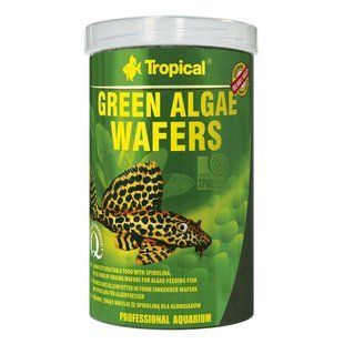 Сухий корм для акваріумних риб Tropical в пластинках &laquo;Green Algae Wafers&raquo; 1 л (для травоїдних донних риб) 66426 таблетки фото