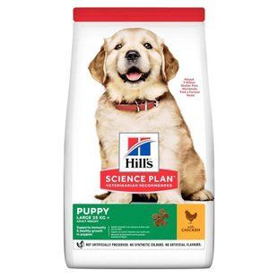 Hill's Science Plan Large Breed Puppy Chicken 14,5 кг сухий корм для цуценят великих порід собак з куркою 604386 фото