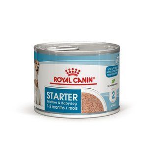 Royal Canin Starter Mousse 195 г х 12 шт влажный корм для беременных собак и щенков всех пород 4077002/П фото