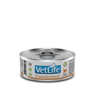 Вологий Farmina Vet Life Convalescence для котів, дієта для відновлення живлення та одужання, 85 г 166138 фото